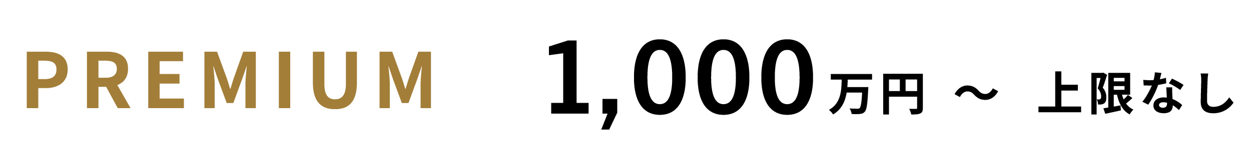 プレミアム